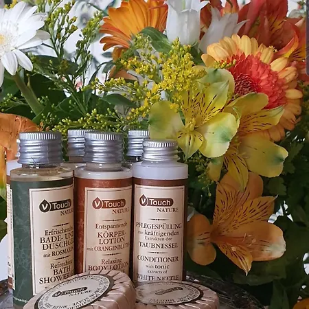 Alojamento de Acomodação e Pequeno-almoço La Casa Nomade