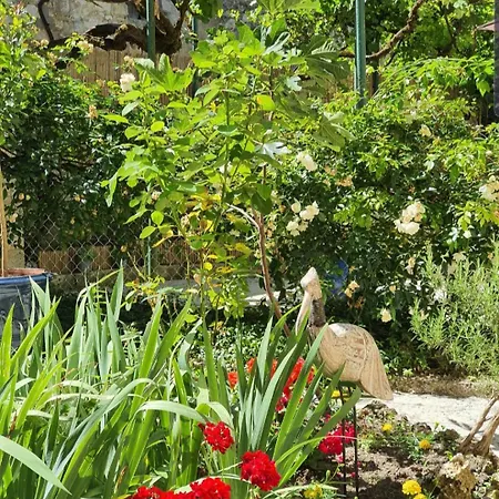 Alojamento de Acomodação e Pequeno-almoço La Casa Nomade 4*